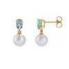 302 Fine Jewelry Earrings with Natural Aquamarine and Akoya Pearl