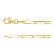  302 Fine Jewelry Paperclip 2.6mm Chain Bracelet Gold Bracelets 302 Fine Jewelry   
