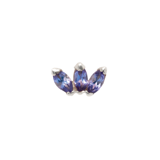 BVLA Press Fit Triple Marquise Fan Tanzanite Gold Piercing Jewelry > Press Fit Body Vision Los Angeles White Gold  